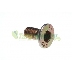 Śruba talerza m12x25 (Imbus 10mm) 5036010510 5036010500