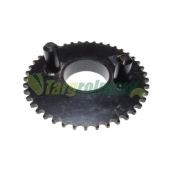 Koło łańcuchowe Z-43 ODP.: 5224137700/S
