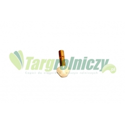 Grzybek 4002140580