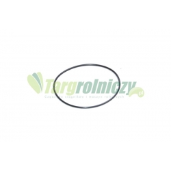 Oring   185x6